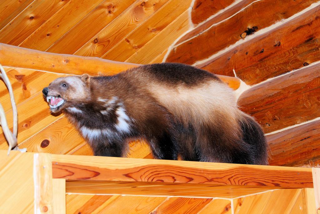 Wise Old Hunter Lodge アンカー・ポイント 部屋 写真