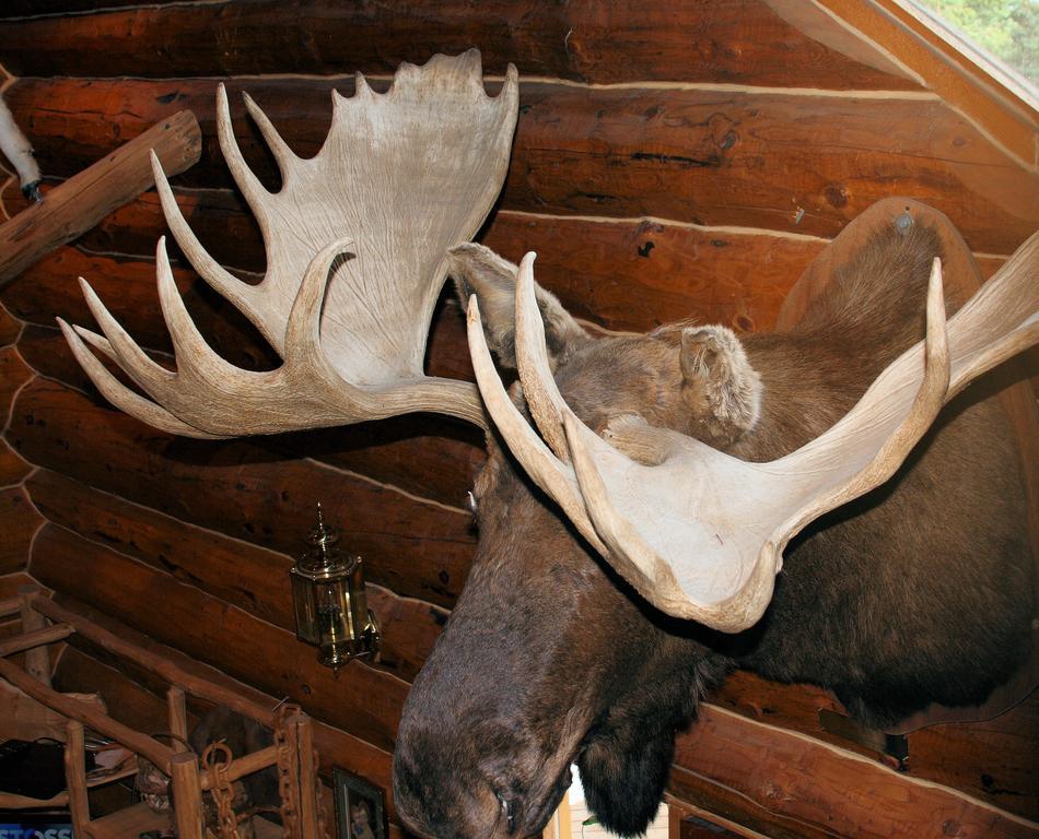 Wise Old Hunter Lodge アンカー・ポイント 部屋 写真