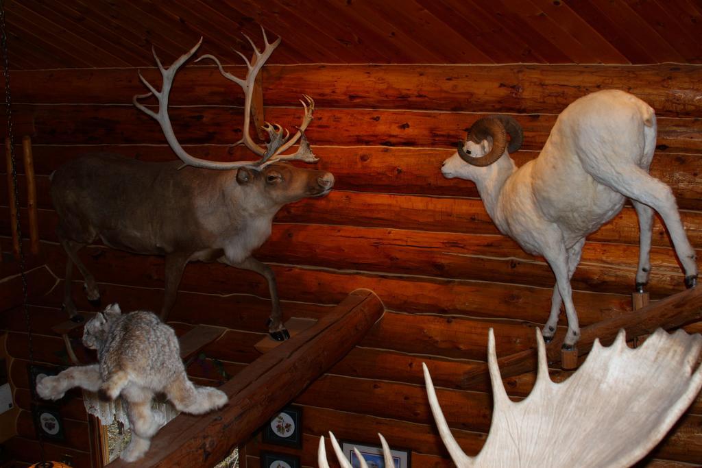 Wise Old Hunter Lodge アンカー・ポイント 部屋 写真