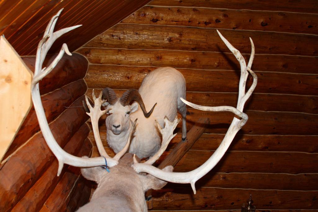 Wise Old Hunter Lodge アンカー・ポイント 部屋 写真