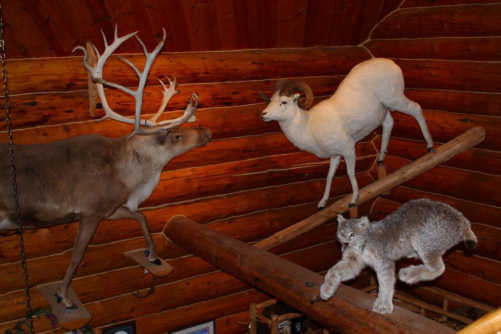 Wise Old Hunter Lodge アンカー・ポイント 部屋 写真
