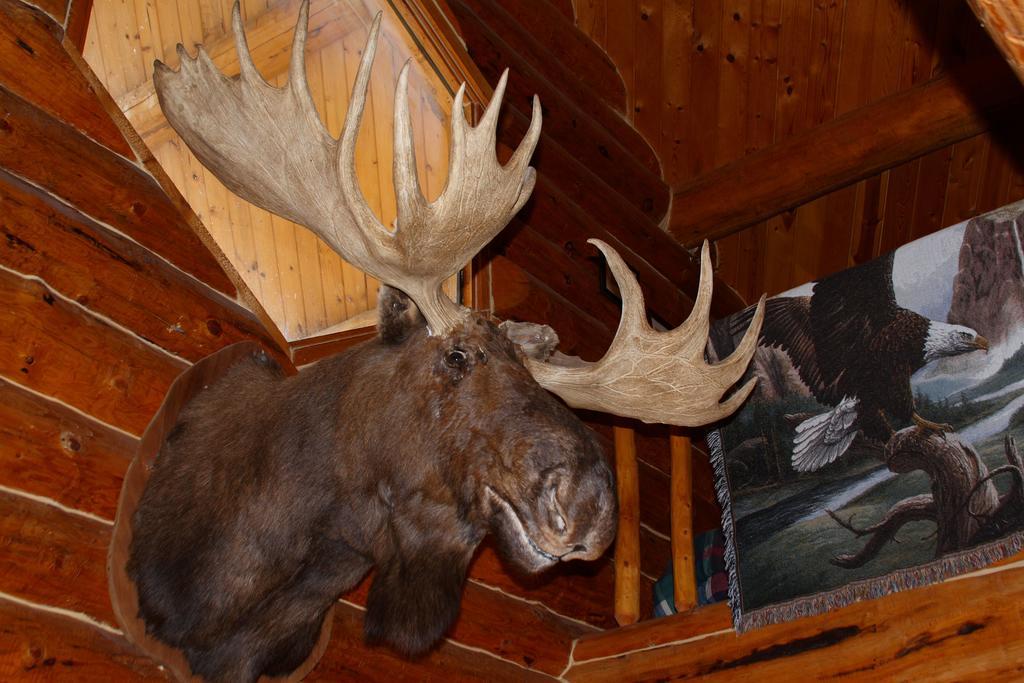 Wise Old Hunter Lodge アンカー・ポイント 部屋 写真