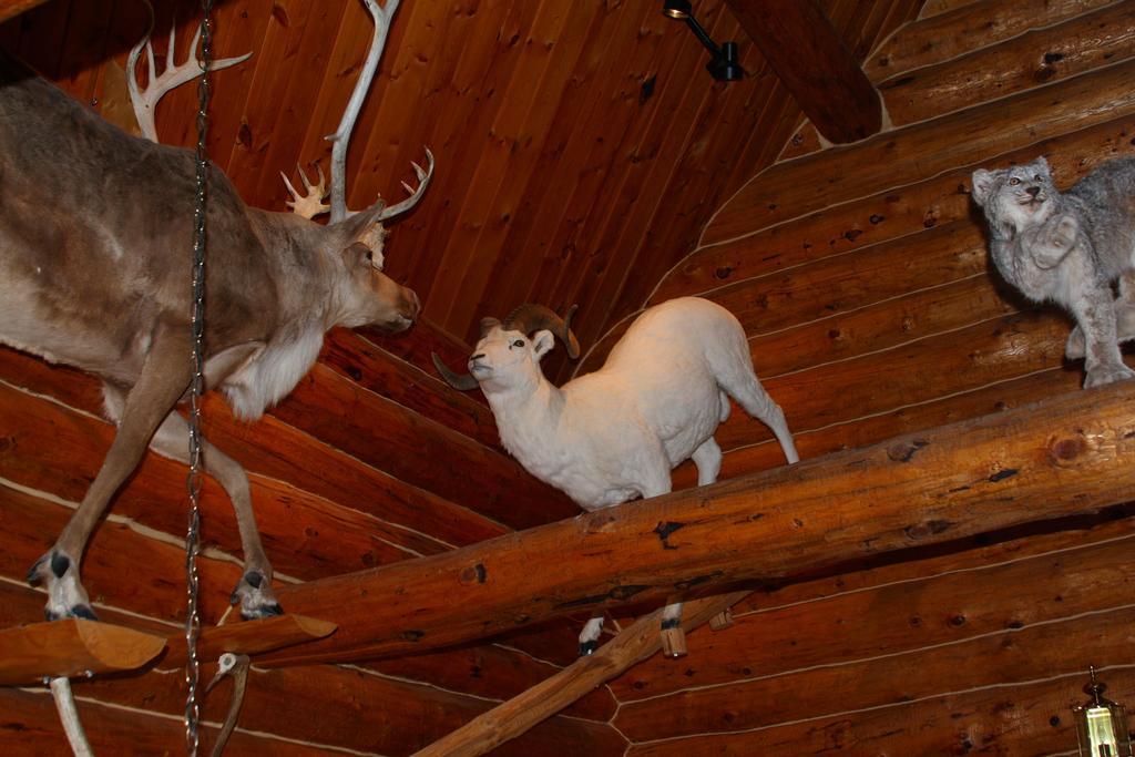 Wise Old Hunter Lodge アンカー・ポイント 部屋 写真